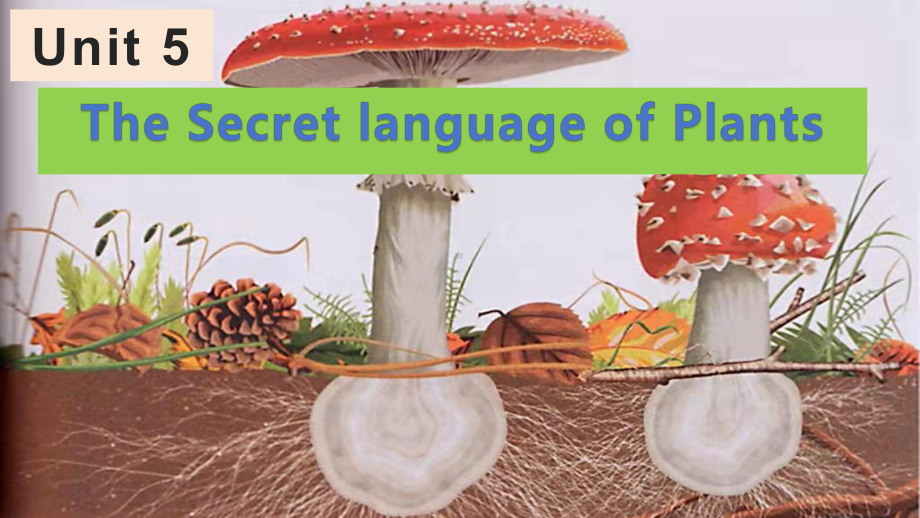 Unit 5 Developing ideas The secret language of plants （ppt课件）-2023新外研版（2019）《高中英语》选择性必修第一册.pptx_第1页