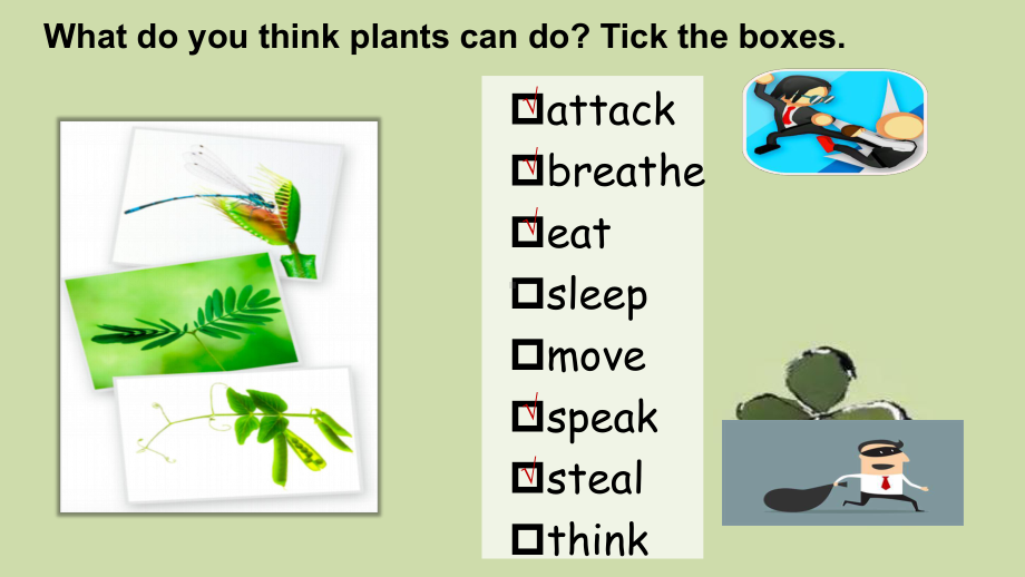 Unit 5 Developing ideas The secret language of plants （ppt课件）-2023新外研版（2019）《高中英语》选择性必修第一册.pptx_第3页