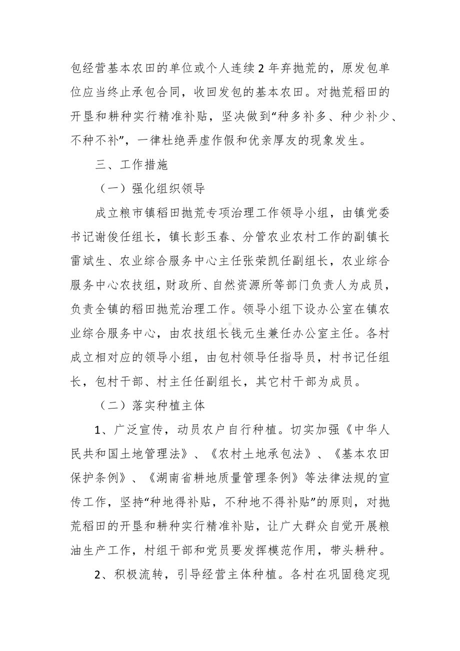 稻田抛荒专项治理工作实施方案.docx_第2页