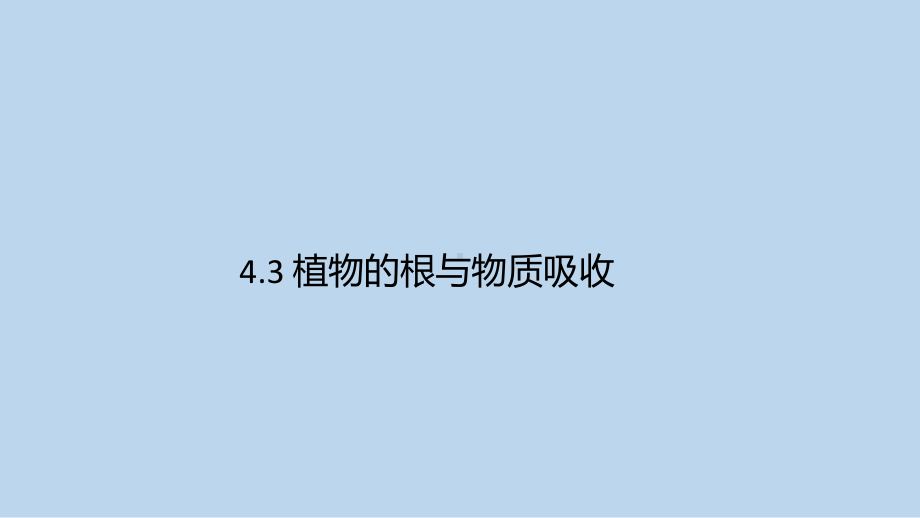 浙教版科学八年级下册4-3 植物的根与物质吸收 .pptx_第1页