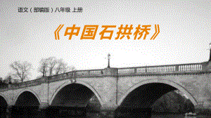 第18课《中国石拱桥》ppt课件（共22张PPT） -（部）统编版八年级上册《语文》.pptx