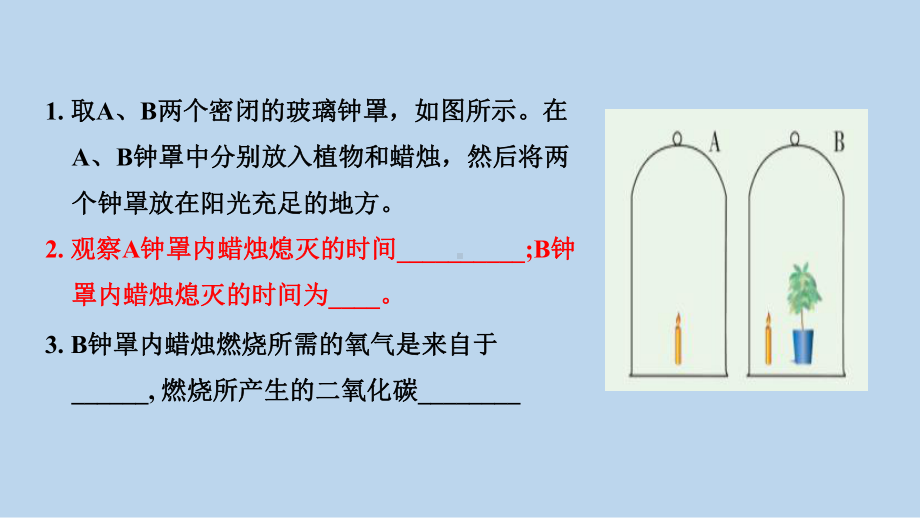 浙教版科学八年级下册3-7 自然界中的氧循环和碳循环 .pptx_第3页