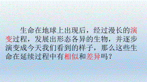 1.种豆得豆（ppt课件）(共20张PPT+视频)-2023新冀人版六年级上册《科学》.pptx