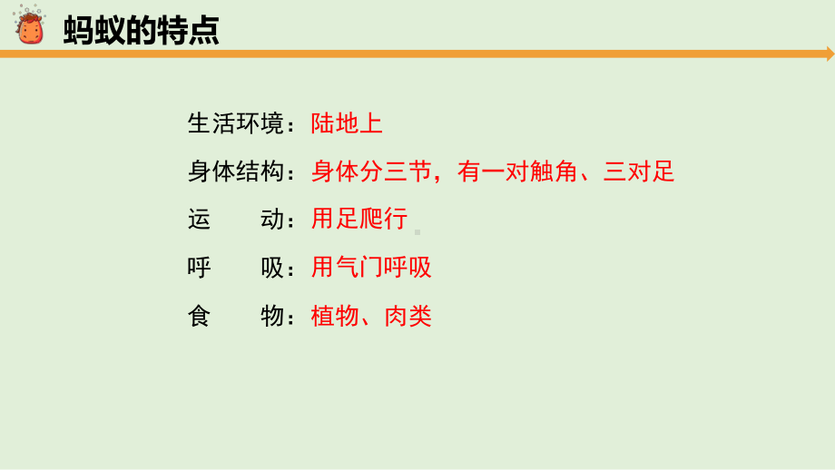 2.3《蚂蚁》同步ppt课件(共16张PPT)-2023新大象版一年级上册《科学》.pptx_第3页