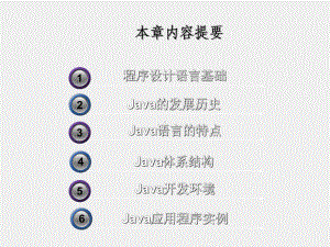 《Java程序设计教程》课件第1章 Java语言概述.ppt