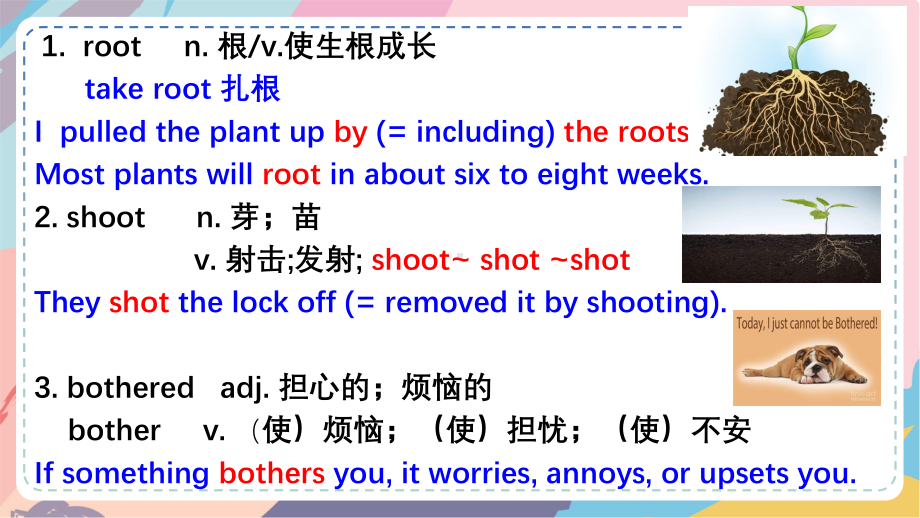 Unit 8 Green living Lessons 1-2 词汇（ppt课件）-2023新北师大版（2019）《高中英语》必修第三册.pptx_第2页