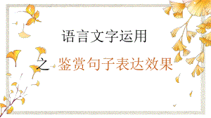 2024届高考专题复习：句子表达效果ppt课件27张.pptx