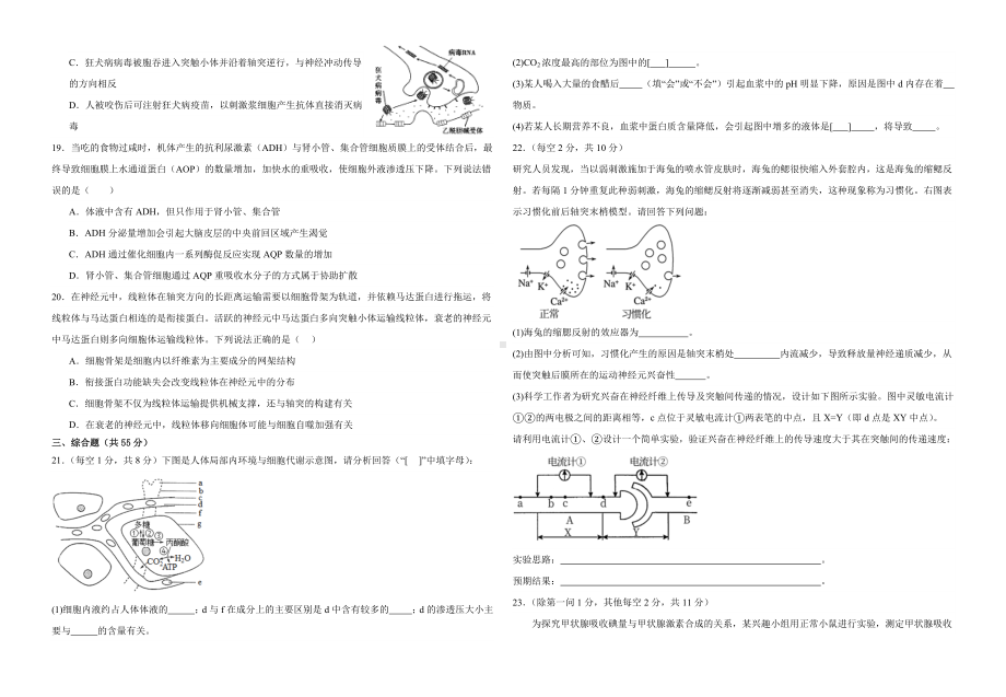 生物学选择性必修一练习题.docx_第3页