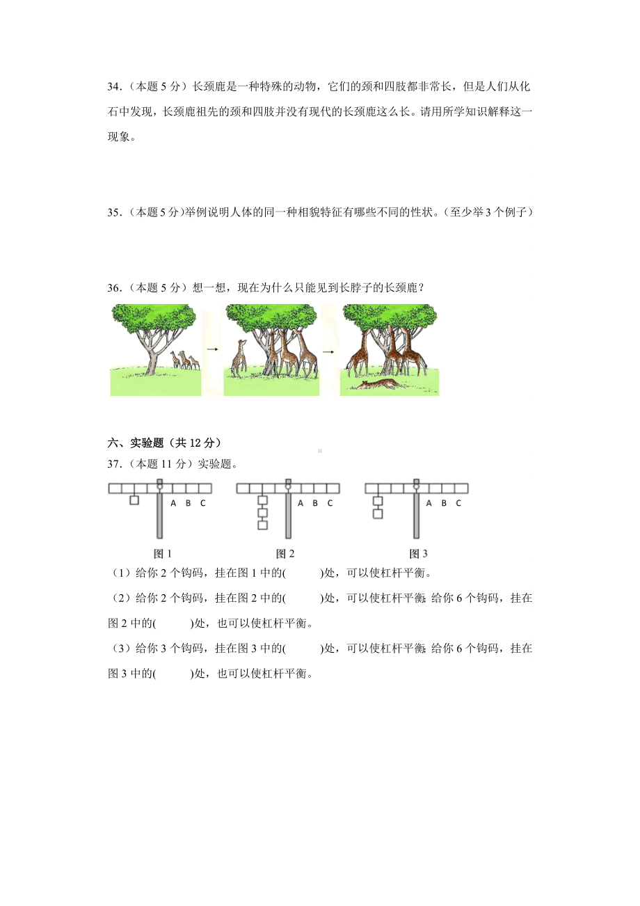 2023新粤教粤科版六年级上册《科学》期末试题 (含答案).docx_第3页