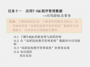 《SQL Server数据库应用技术实例教程》课件任务十一.ppt