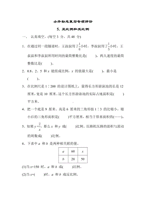 小升初总复习专项评价5. 正比例和反比例苏教版数学六年级下册.docx