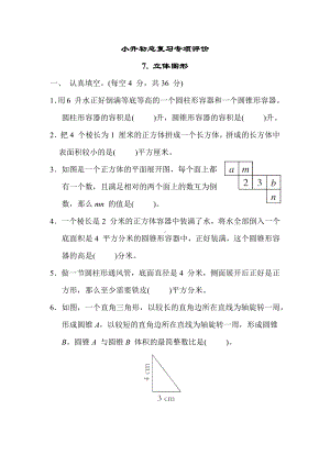 小升初总复习专项评价7. 立体图形苏教版数学六年级下册.docx