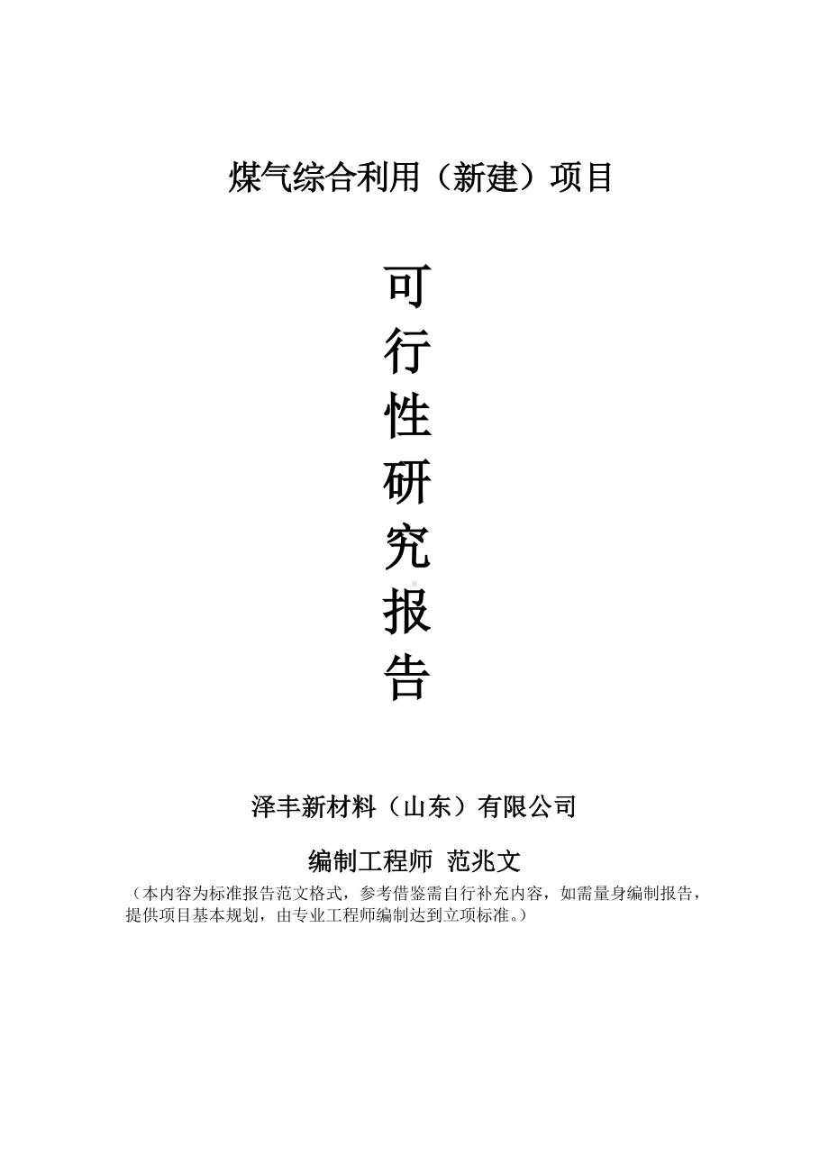 煤气综合利用建议书可行性研究报告备案可修改案例模板.doc_第1页