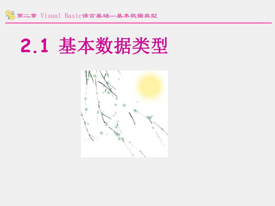 Visual Basic语言程序设计及实验教程课件第2章 Visual Basic语言基础.ppt_第2页