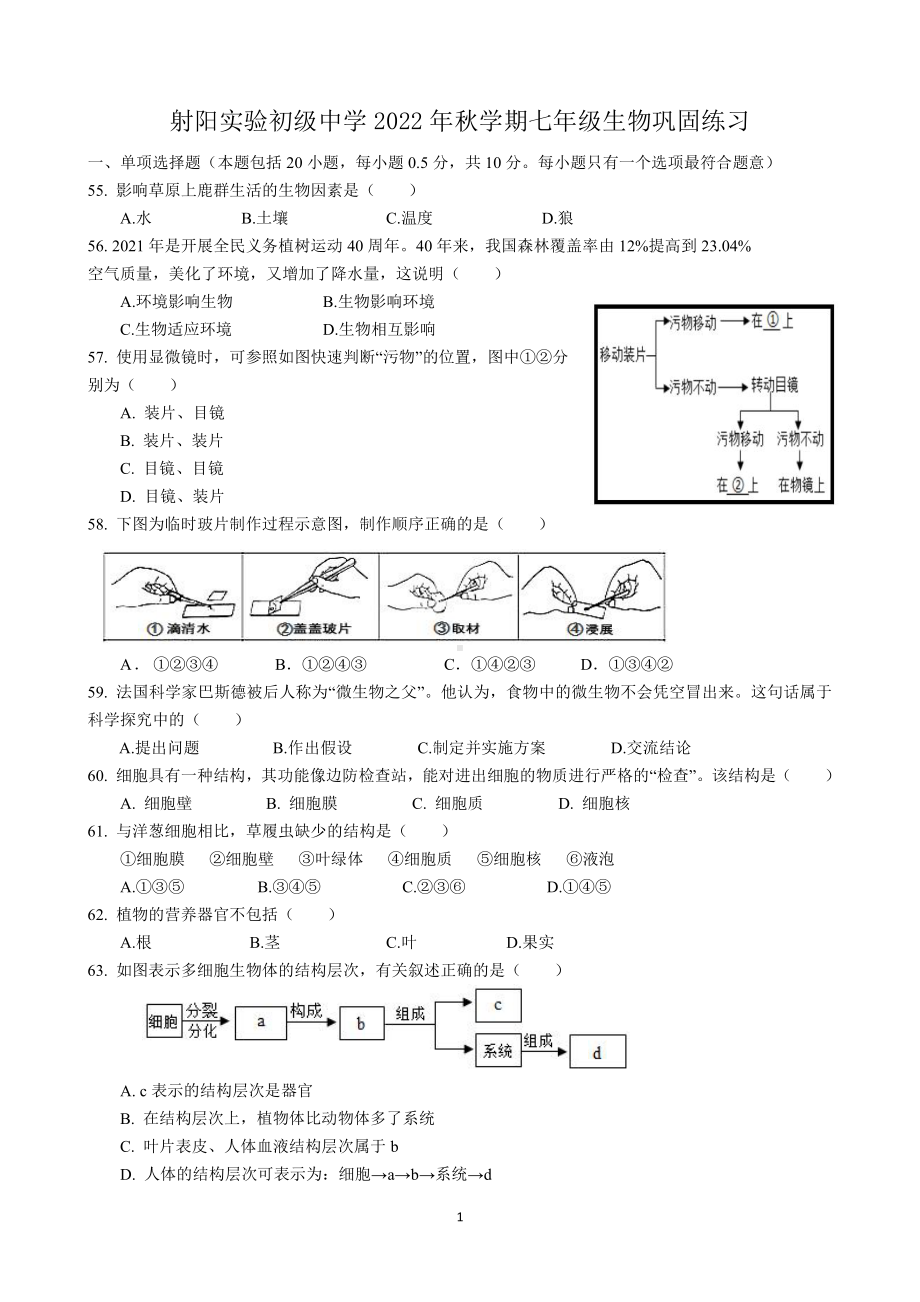 盐城市射阳实验2022-2023初一上学期12月生物试卷.pdf_第1页