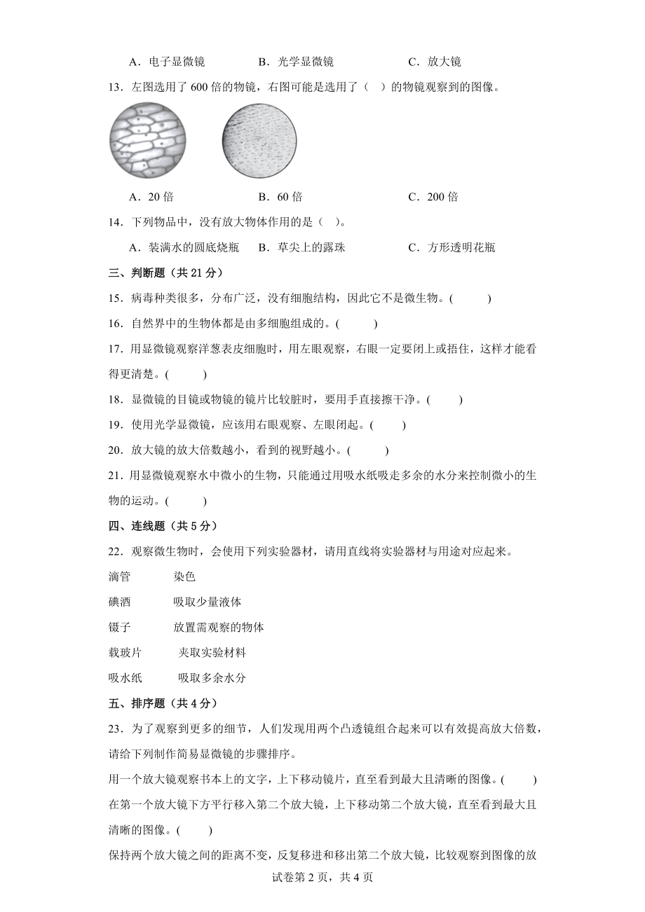 第一单元《微小世界》期末复习必刷卷六年级上册科学（教科版）.docx_第2页