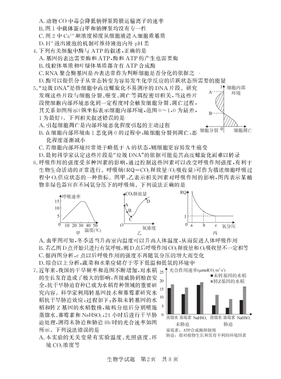 2023年12月全国T8联考生物试卷.doc_第2页