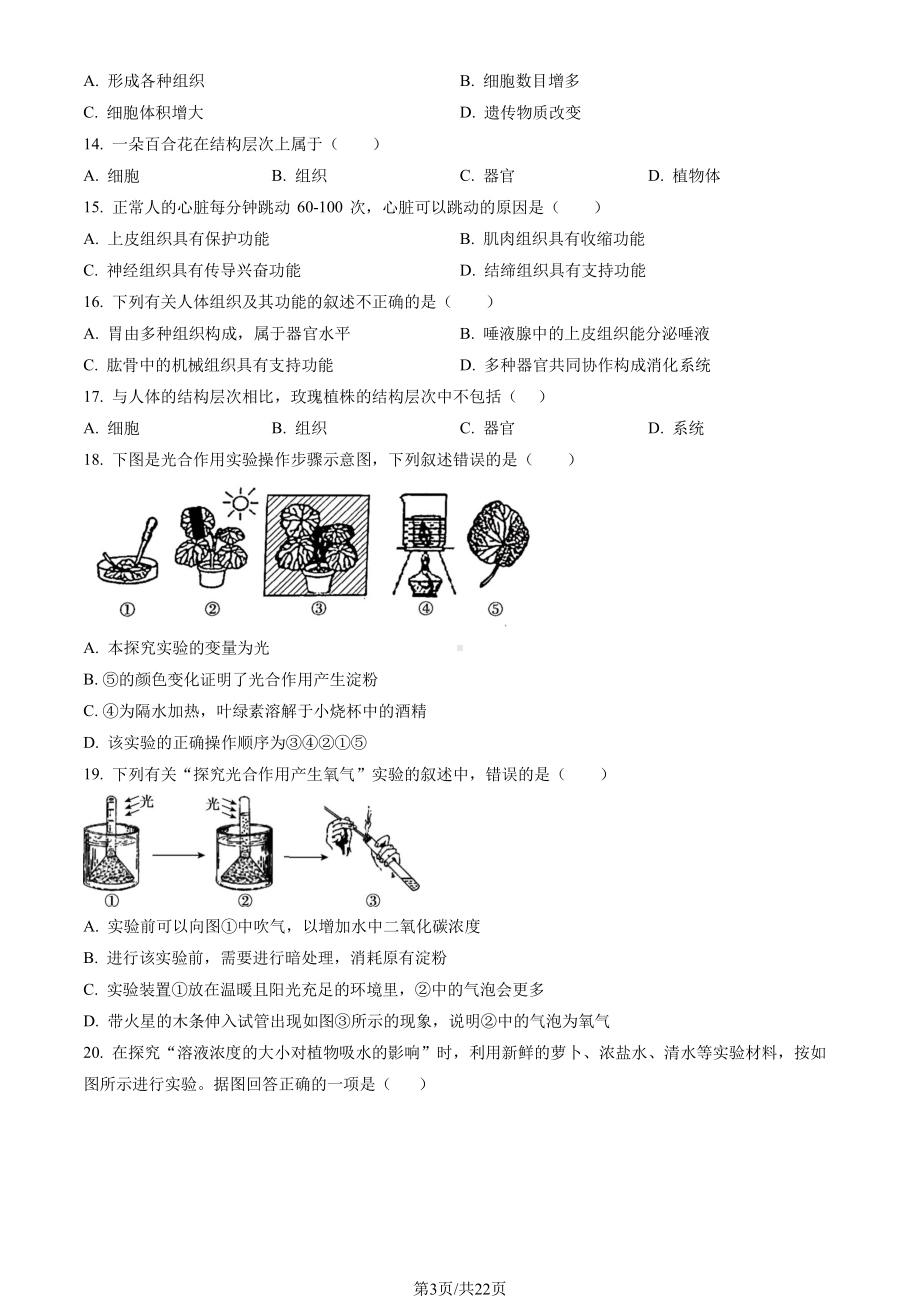 2022年北京北师大实验初一（上）期中生物.pdf_第3页