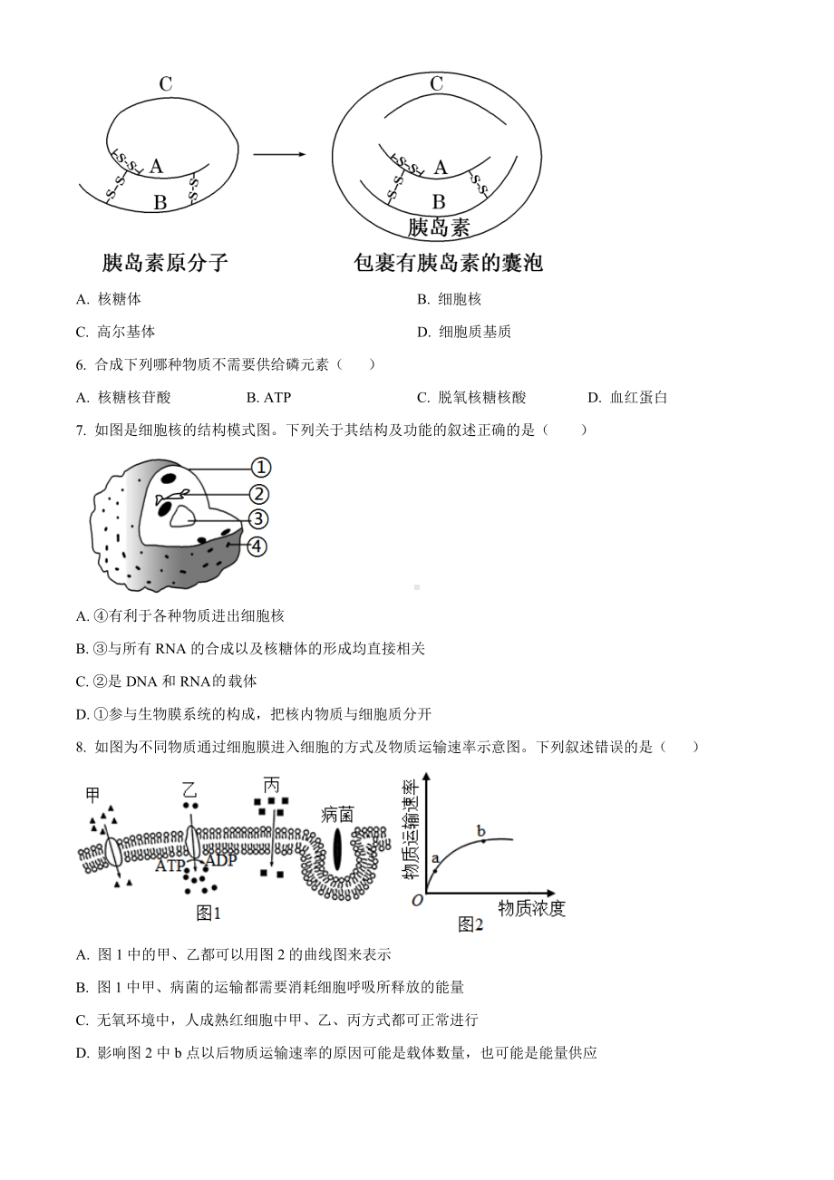 内蒙古自治区科尔沁左翼中旗实验高级中学2023-2024学年高三12月月考生物试题空白卷.docx_第2页