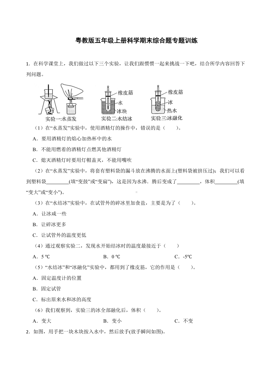 2023新粤教版五年级上册《科学》期末综合题专题训练（含答案）.docx_第1页