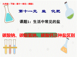 人教版化学九年级下册 11.1碳酸钠、碳酸氢钠、碳酸钙三种盐区分-课件.pptx