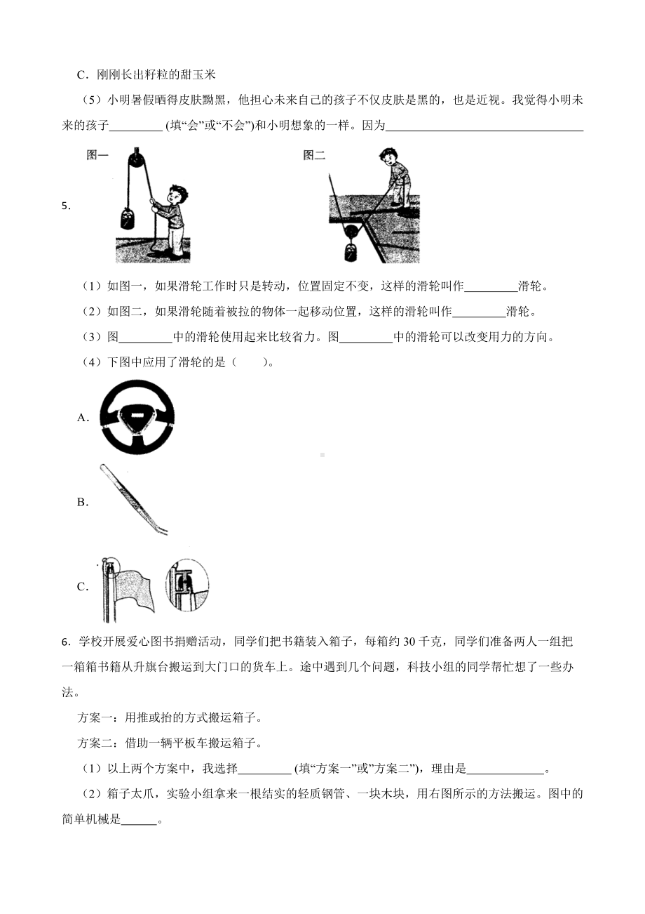 2023新粤教版六年级上册《科学》期末综合题专题训练（含答案）.docx_第3页