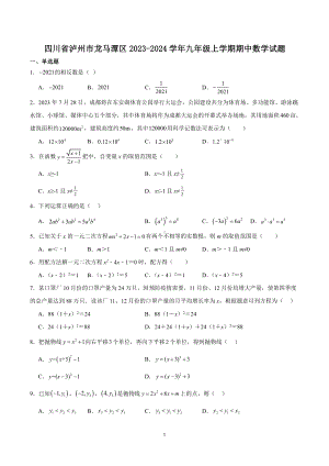 四川省泸州市龙马潭区2023-2024学年九年级上学期期中数学试题.pdf