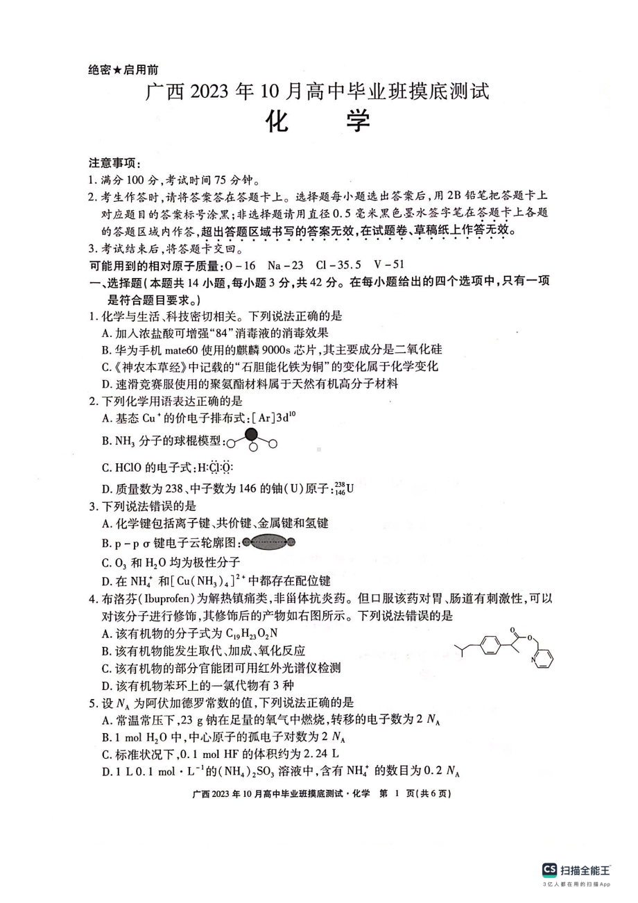 广西2023年10月高中毕业班摸底测试 化学.pdf_第1页