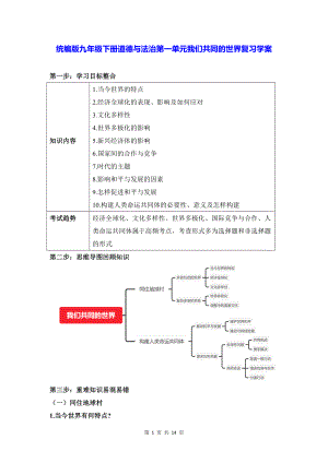 统编版九年级下册道德与法治第一单元我们共同的世界复习学案.docx