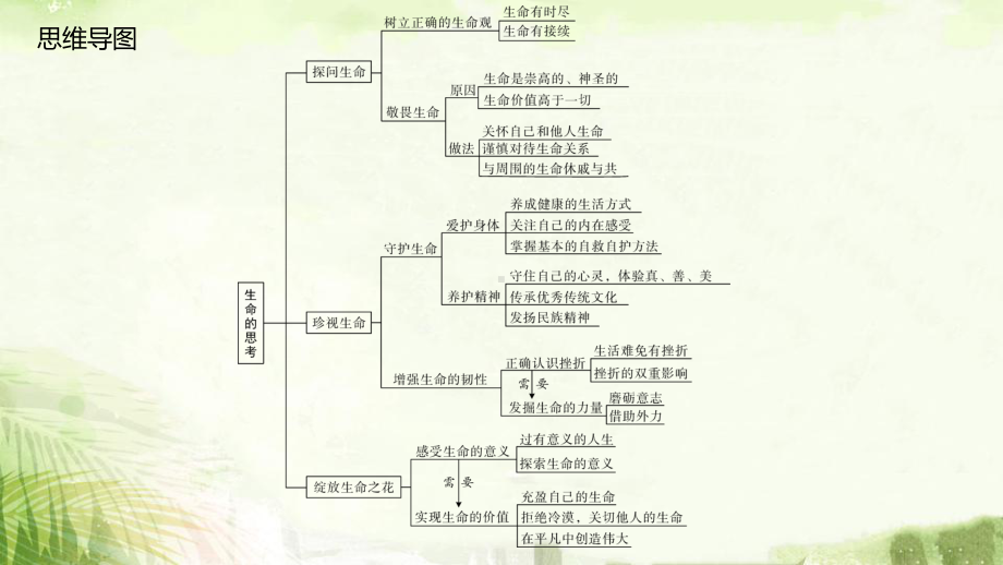 统编版七年级上册道德与法治第四单元 生命的思考 复习课件71张.pptx_第2页