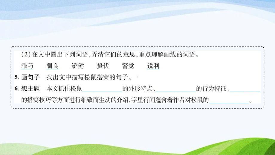 2023-2024部编版语文五年级上册《17松鼠》课件含预习和生字.ppt_第3页