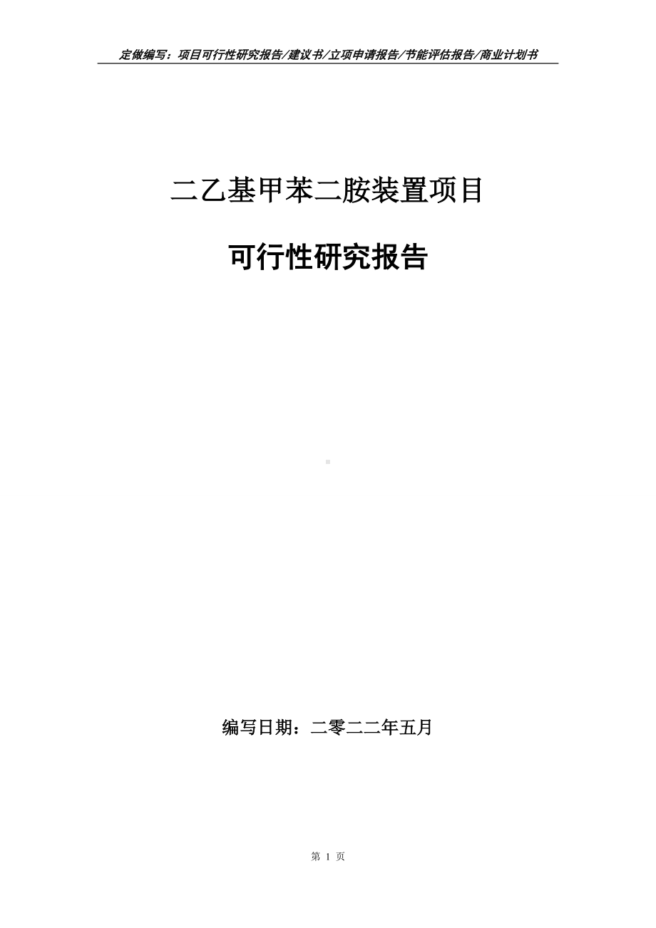 二乙基甲苯二胺装置项目可行性报告（写作模板）.doc_第1页