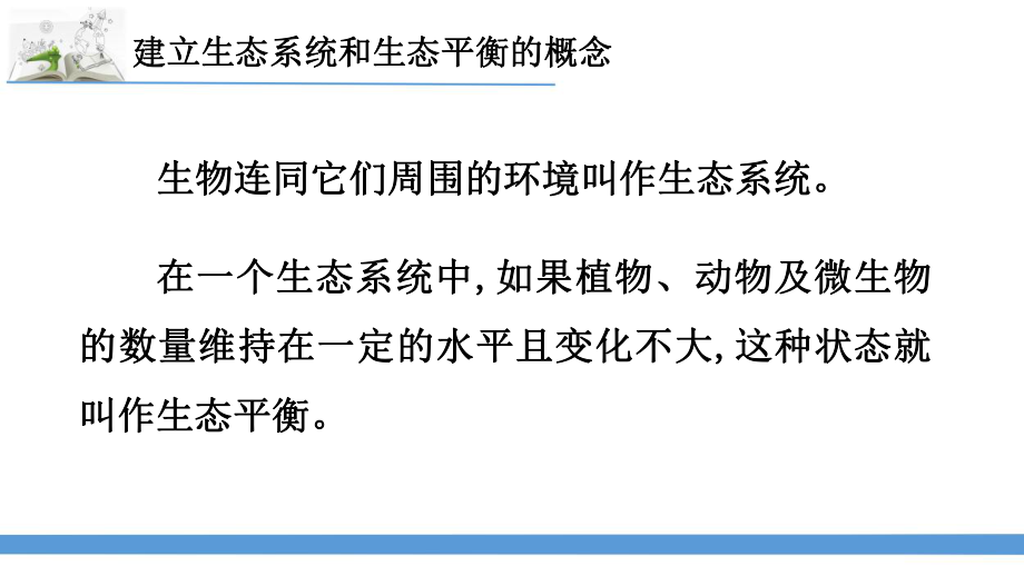 2023最新苏教版六年级下册科学7.做个生态瓶 课件.pptx_第2页