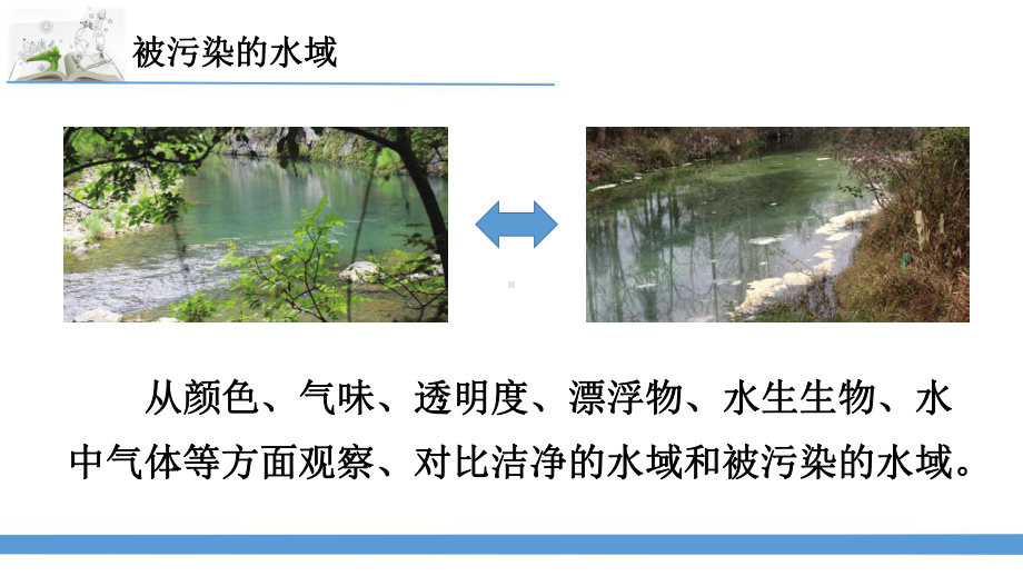 2023最新苏教版六年级下册科学13.洁净的水域 课件.pptx_第3页