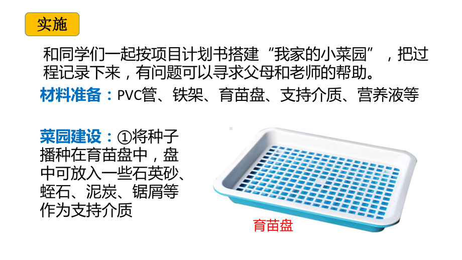 6.21 我家的小菜园（二） ppt课件-2023新冀人版四年级下册《科学》.pptx_第3页