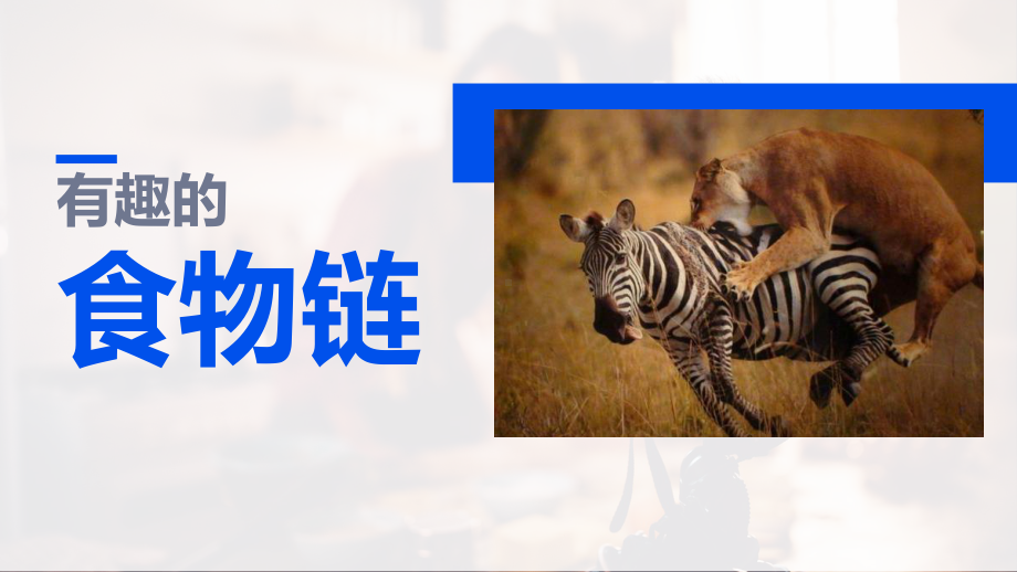 2.6有趣的食物链 ppt课件-2023新苏教版六年级下册《科学》.pptx_第1页