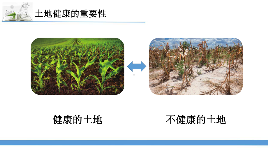 2023最新苏教版六年级下册科学16.健康的土地 课件.pptx_第3页