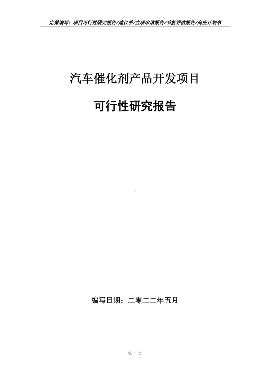 汽车催化剂产品开发项目可行性报告（写作模板）.doc_第1页