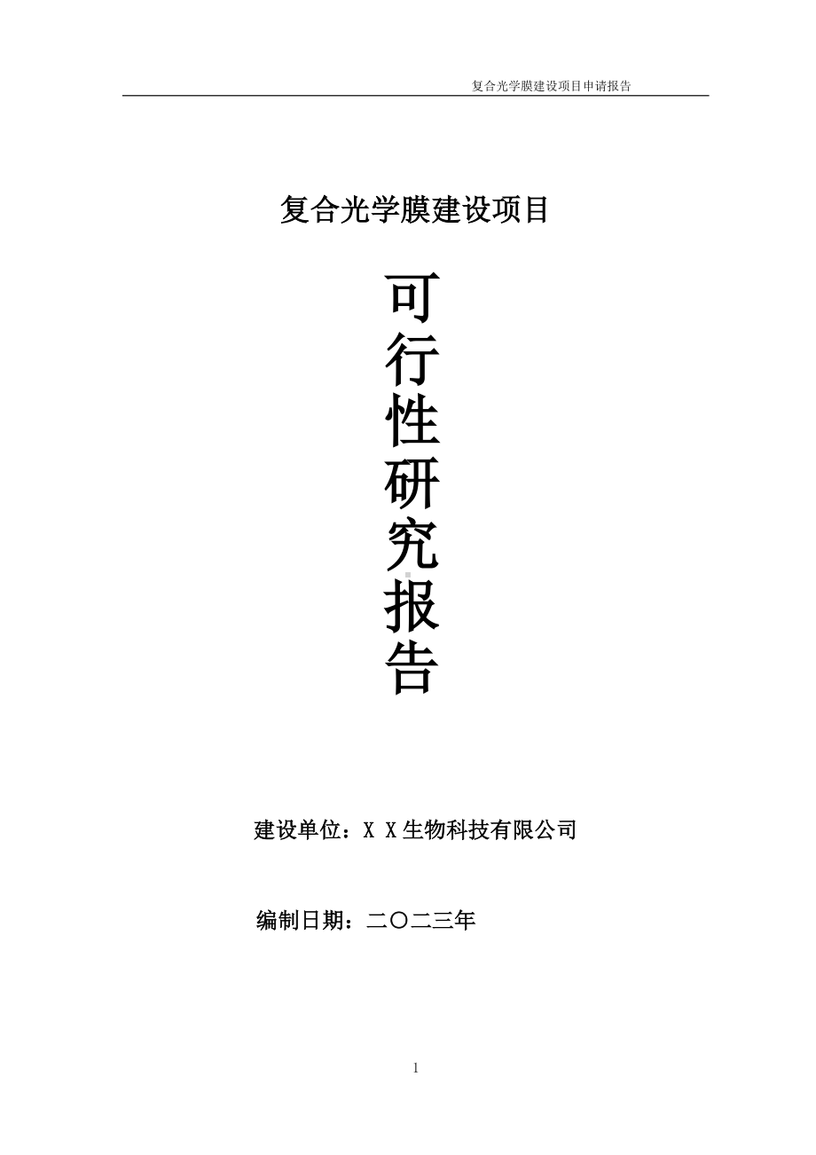 复合光学膜项目可行性研究报告备案申请模板.doc_第1页