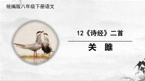 部编语文名师公开课一等奖创新教学设计课件4关雎.pptx