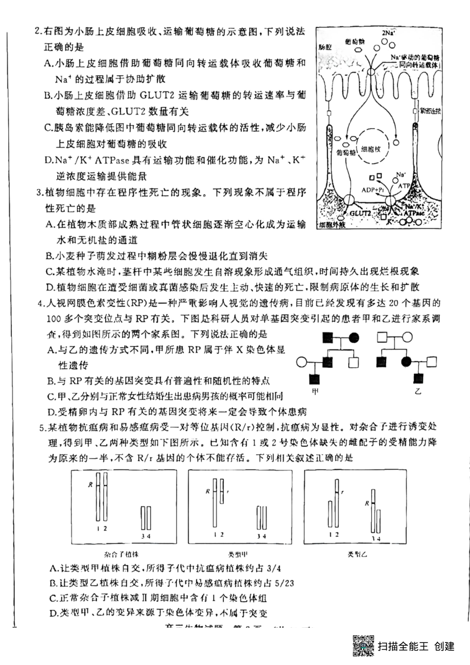 山东省济南市2023届高三下学期学情检测（一模）生物试题及答案.pdf_第2页