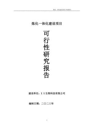 炼化一体化项目可行性研究报告备案申请模板.doc