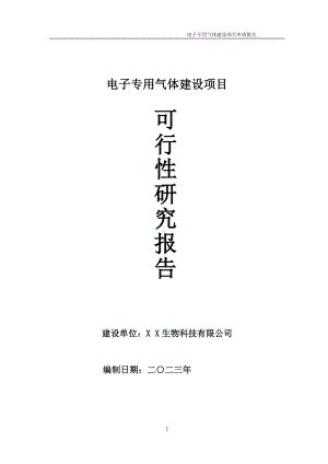 电子专用气体项目可行性研究报告备案申请模板.doc