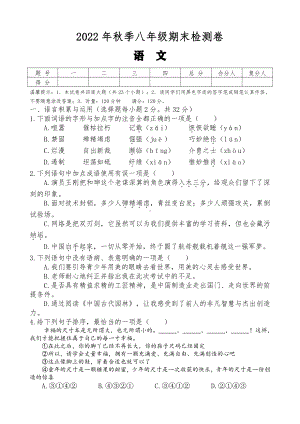 湖南省邵阳市新邵县2022-2022学年八年级上学期语文期末检测卷.pdf