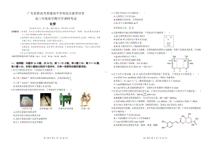 广东省新高考普通高中学科综合素养评价2022-2023学年高三下学期开学调研考试化学试题及答案.pdf