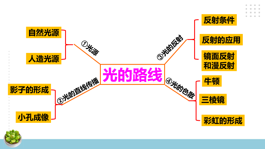 新大象版科学五年级下册第一单元复习课件+练习（25张PPT）.pptx_第2页