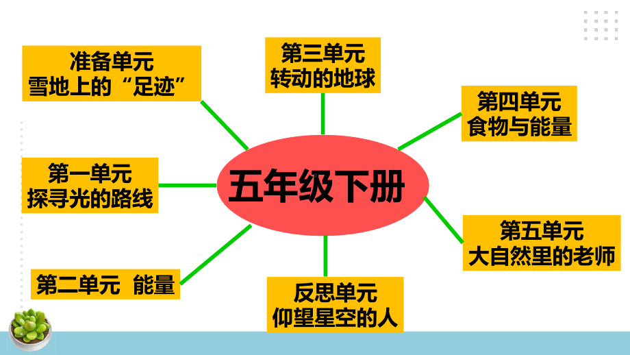 新大象版科学五年级下册各单元思维导图.pptx_第2页