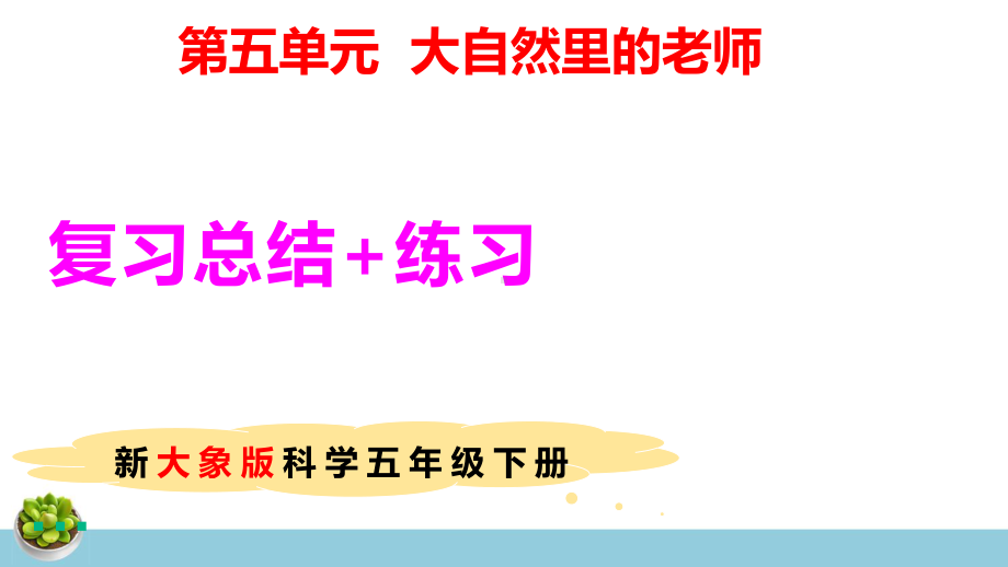 新大象版科学五年级下册第五单元复习课件+练习（30张PPT）.pptx_第1页