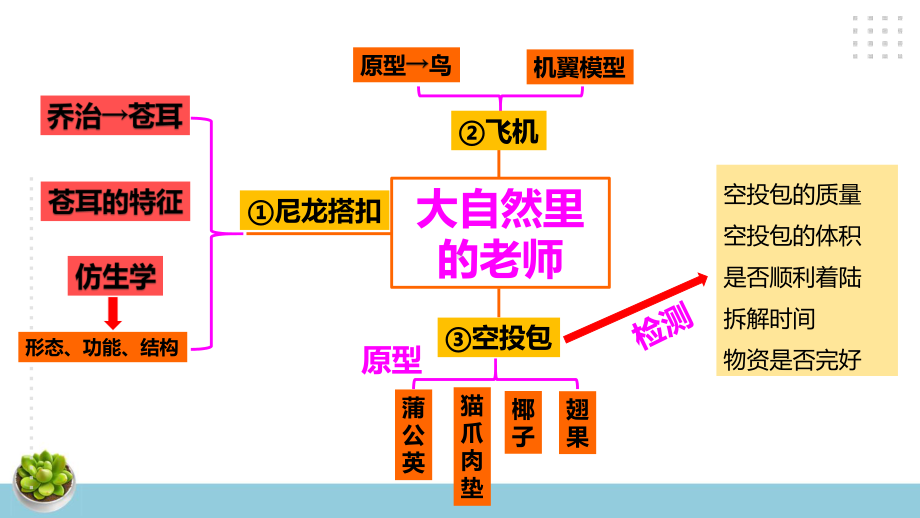 新大象版科学五年级下册第五单元复习课件+练习（30张PPT）.pptx_第2页