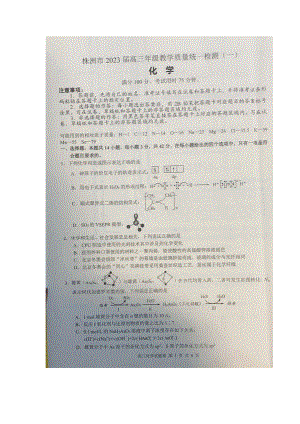 湖南省株洲市2023届高三教学质量统一检测（一）化学试题及答案.docx